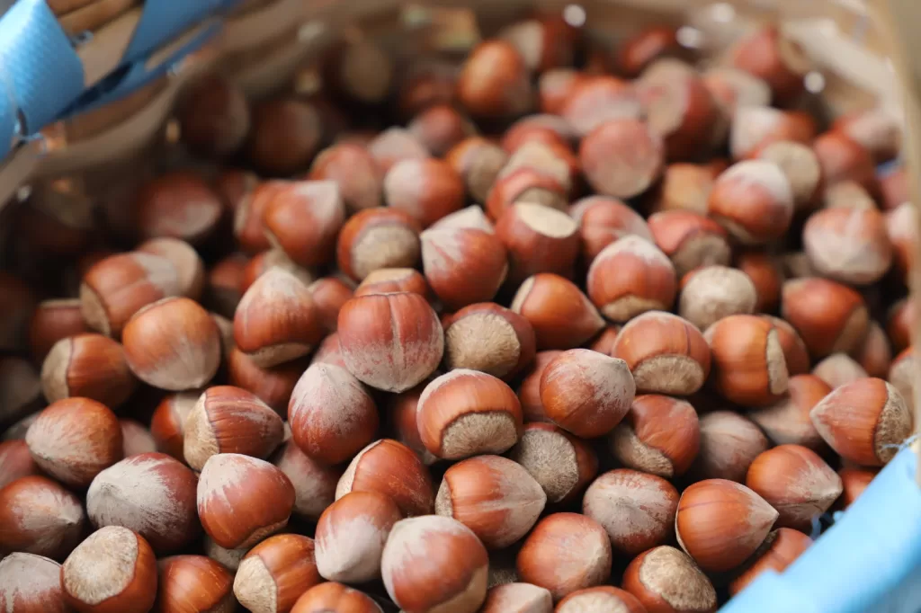 giresun tombul fındık