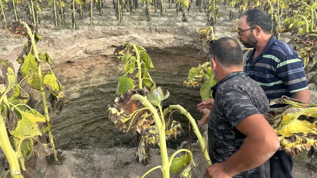 Eskişehir’de Ayçiçeği Tarlasında 20 Metre Derinliğinde Obruk Oluştu: Su Kaynaklarının Önemi Gündemde